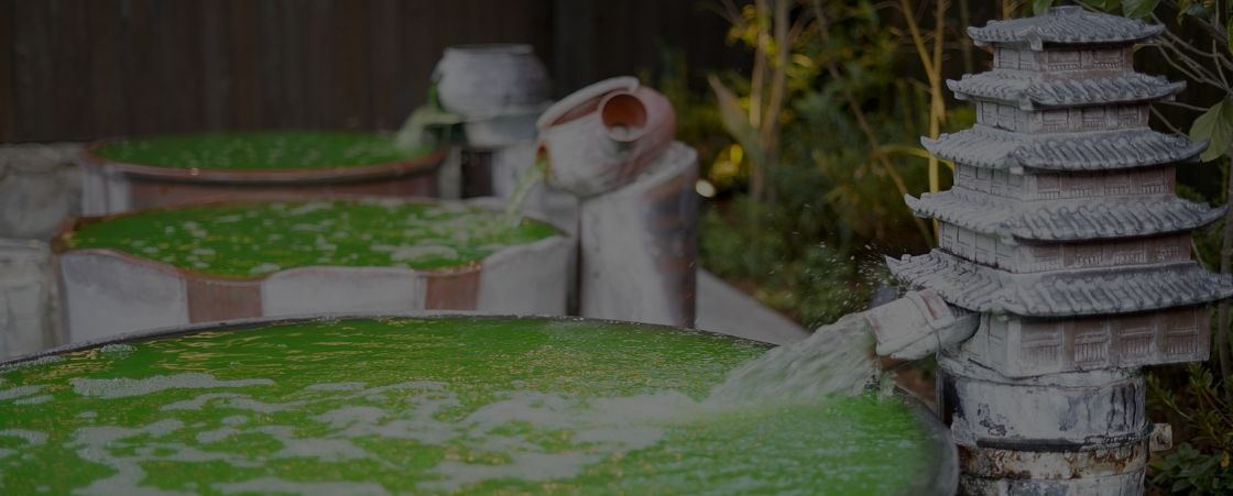 西尾温泉 茶の湯