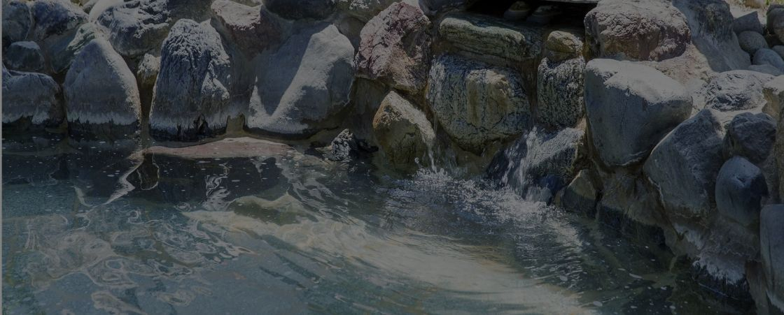 稲沢温泉 なおいの湯