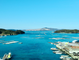 サン浦島　悠季の里