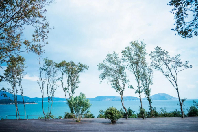 千年オリーブテラス for your wellness