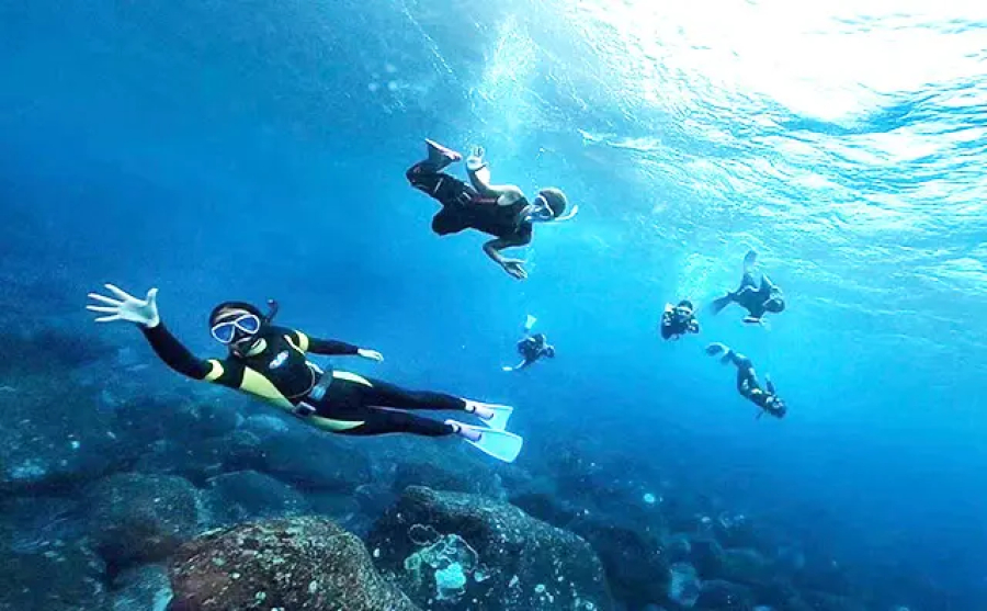 ダイビングショップ　ホクレア湘南