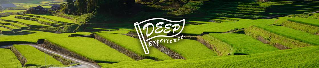 DeepExperience株式会社